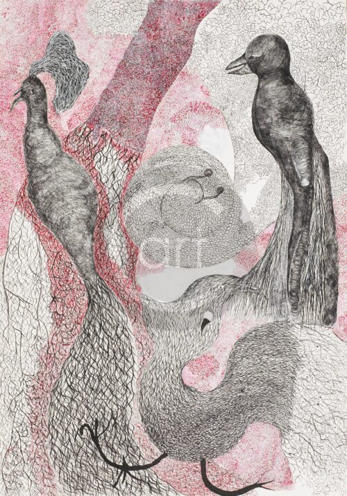 Simina Badea 绘画: Birds