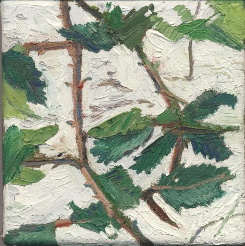 Noel Paine Pintar: Bramble in the Snow