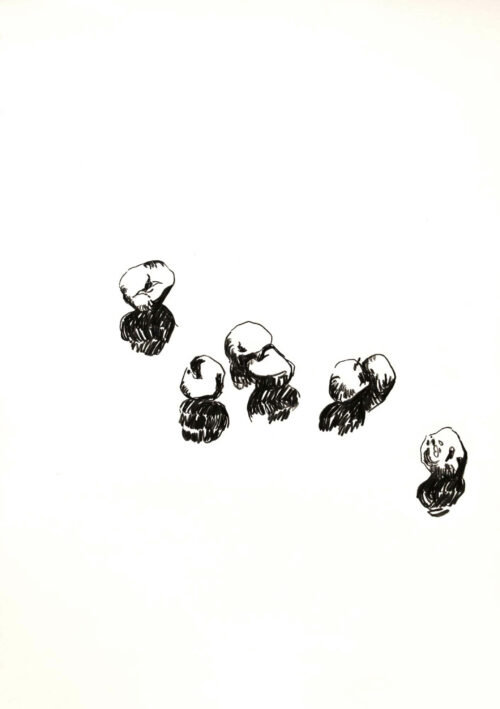Daniel Leiter Disegno: Leiter – Untitled drawing 3