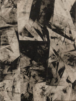 Daniel Leiter Stuecke Stoffcollage Monotypie Zeichnung 5