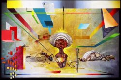 Dorylus Deus Otto Rapp Bild