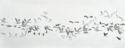 Fluglinien Bleistift Zeichnung Marianne Lang