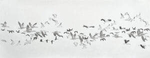 Fluglinien Bleistift Zeichnung Marianne Lang