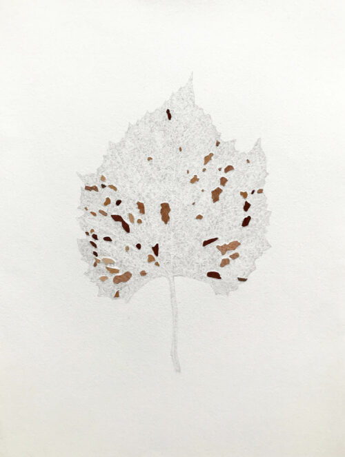 Marianne Lang Drawing: Tree vandalism 3