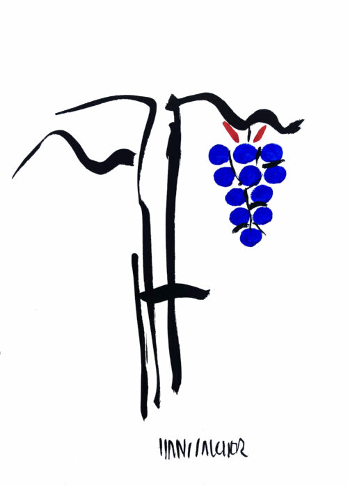 Hans Salcher Painting: Grapes