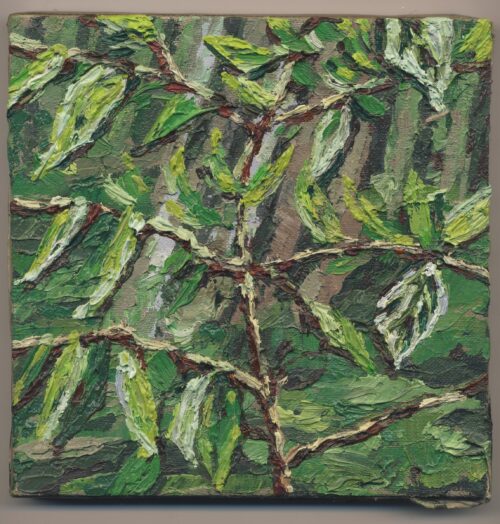 Noel Paine 绘画: Young Tree